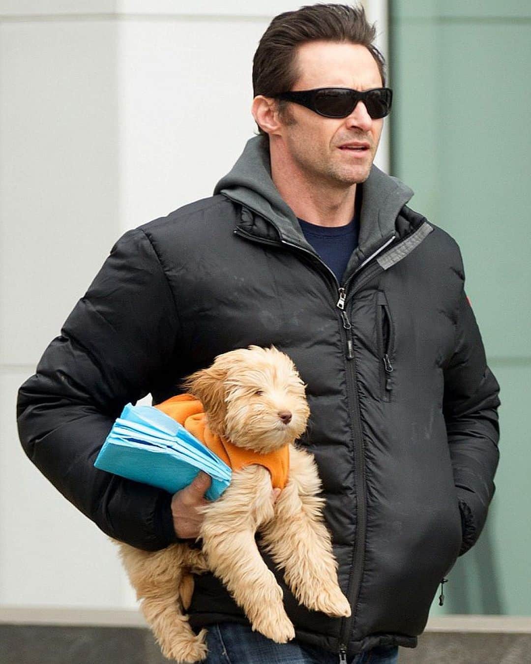 ト・サンウのインスタグラム：「🐶」