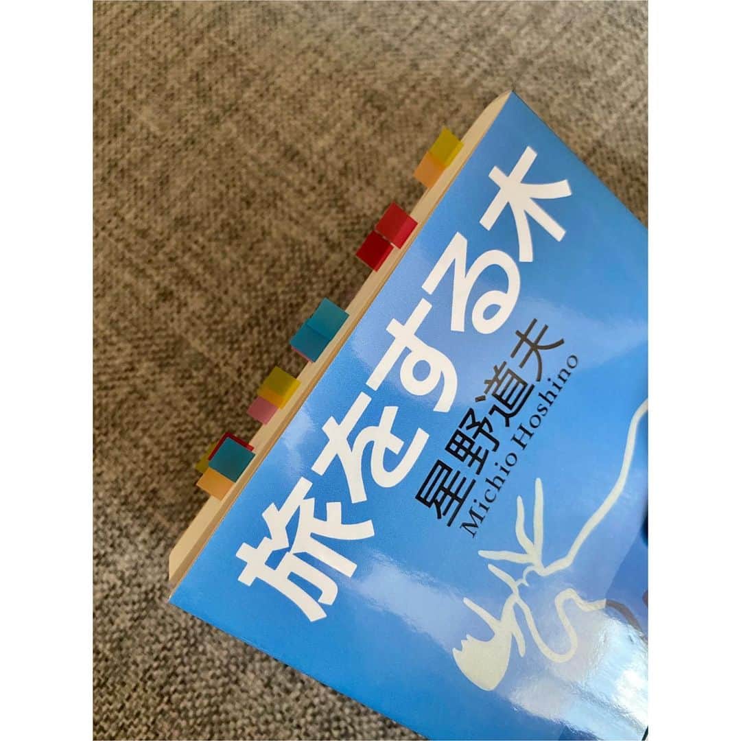 河村綾奈のインスタグラム：「✯読書録です🙇‍♀️  新しい本の表紙をめくるときは、いつだってワクワクしますね。 星野道夫さん『旅をする木』文春文庫  以前、おすすめのコメントをいただいていたことと、 雑誌でも挙げられていたことで勝手にご縁を感じて購入。  写真家だった星野さんの文章が、圧倒的な大自然に連れて行ってくれました。 世界にはいろんな時間の流れ方がある中で 私が生活する場所は、すごく忙しないんだろうな。 だからこそ、読んでいるだけで癒されます。  優しくてあたたかい表現に心が震える所が多くて、好きだと思った所に付箋を貼っていったらたくさんつきました。 家の中をプラネタリウムみたいにして読むのも本の世界に合っていて至福でした💕  ----- 『たとえば、こんな星空や泣けてくるような夕陽を一人で見ていたとするだろ。もし愛する人がいたら、その美しさやその時の気持ちをどんなふうに伝えるかって？…自分が変わってゆくことだって。その夕陽を見て感動して、自分が変わってゆくことだと思うって』 -----」