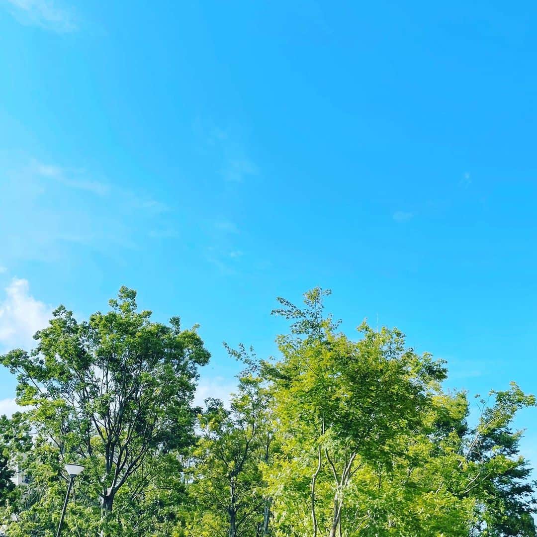 増田良さんのインスタグラム写真 - (増田良Instagram)「いつかの青空。 秋の空が好きです。  早く秋になって欲しい〜〜」8月29日 23時43分 - ryomasudagram