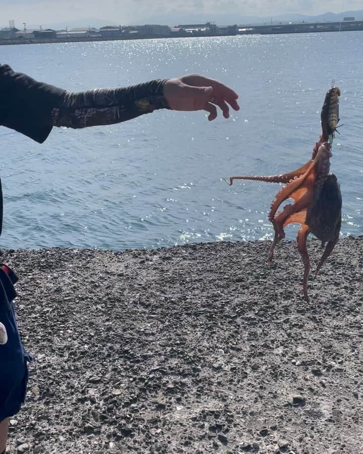 のインスタグラム：「タコーレシェイクのアクション  タコのアクションについて喋りながらふざけて遊んでたらタコ釣れた。  ええやんかぁ〜🐙  #Megabass #メガバス #タコーレシェイク #タコーレシェイク90  #タコ釣り #🐙 #海釣り  #ゲーセンのシューティングゲームで学んだアクション #モンテカルロ育ち #鉄拳タッグ49勝が記録 #灰皿投げられたとこでゲーム終了 #そこからほんまの格闘ゲーム #前歯4本失ってる #ええやんかぁ」