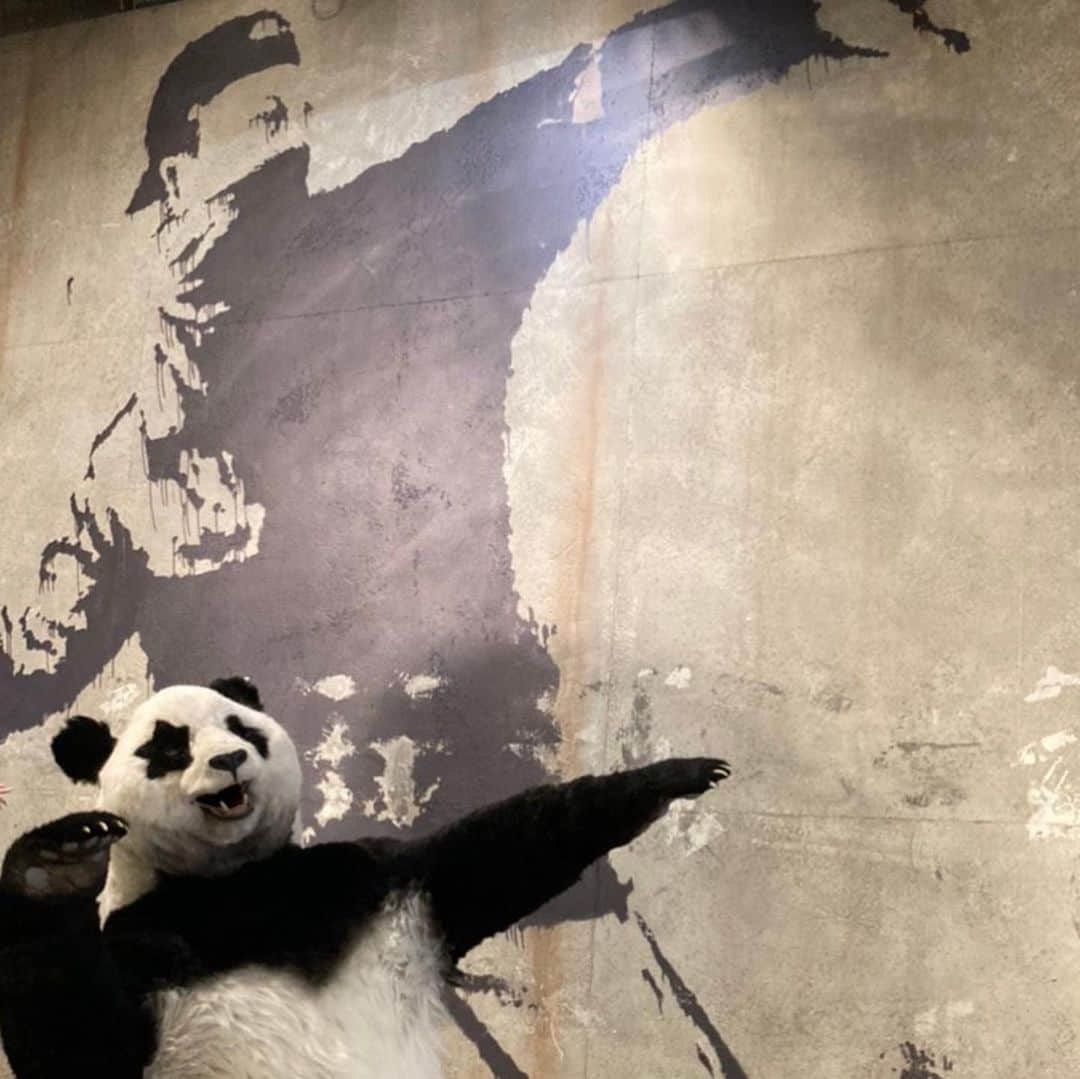 星星（セイセイ）さんのインスタグラム写真 - (星星（セイセイ）Instagram)「🎨🐼🖼🐼 #バンクシーって誰展 #中村倫也 #中村さんとの思い出 . これが、中村さんのお家に飾られる...かもしれない絵です🐼😏 中村さんとのベラベラENGLISH、楽しかったなあ〜🤩 . #星星 #パンダ #panda #pandagram #パンダ好きな人と繋がりたい #ZIP!」8月30日 11時48分 - seisei_panda