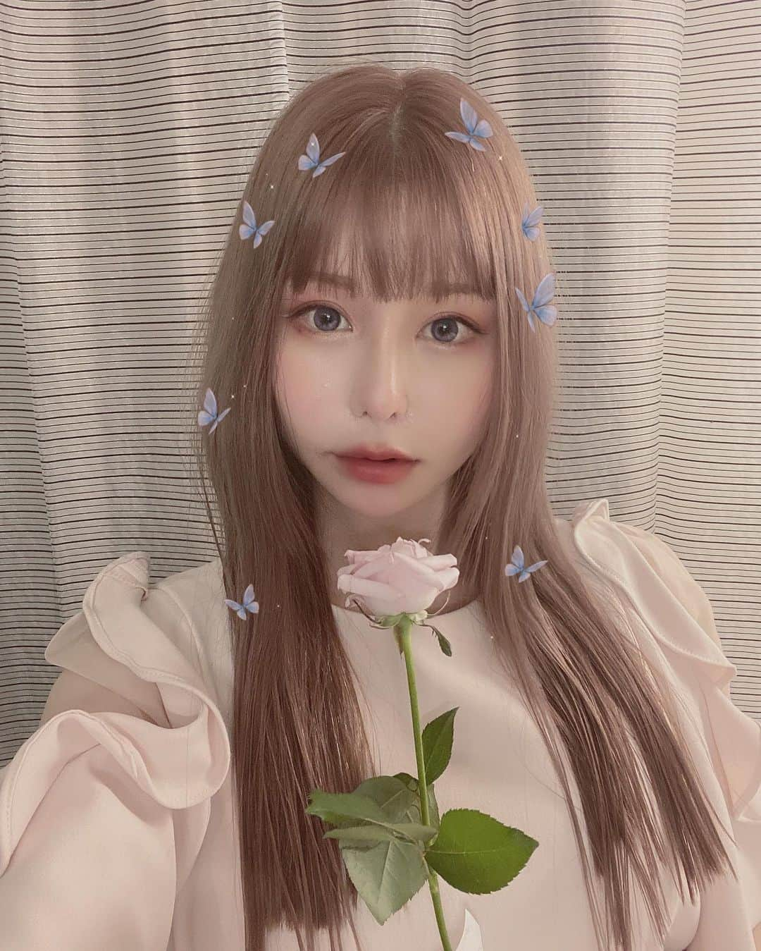 利咲さんのインスタグラム写真 - (利咲Instagram)「いめちぇん🧚‍♀️🌹🦋 →Pink hair color 前髪切ってピンクヘアにしました💗 ストーリーのアンケートを参考にしたのでみなさまのご意見が反映されてます😻いかがでしょ？ （前髪ありのハイトーンロングピンクヘア）  ヘアカラーレシピは…🍽 元は9トーンくらいの赤味ブラウンに対し、ケアブリーチとハイブリーチを混ぜて1回のみのブリーチ。 17.5くらいの明るさまで上げて、ピンクとベージュを入れて11トーンの中明度のハイトーンになりました💕（こういうの詳しく知るの好きw） ブリーチすると一旦金髪になって楽しかったです😹  カラーはラベンダーレベルまで入れるとなるとブリーチが2回必要になり💦そこまでは出来なかったのでベージュ系にしました。 透明感と品のあるハイトーン🤍 派手髪なのに清楚系と言われたこだわりのカラー😇  髪質改善トリートメントも行いましたが、私の髪的に酸を使うのではなく水素系が良いみたいなので、#ウルトワトリートメント というものをしました💫 高濃度の水素トリートメントで、最上級のコラーゲンを入れるそうです。 ダメージのケアもこれからしっかりしていきたいなと思います✨  久々にアプリで自撮りしたら盛れ過ぎてフェアリー的二次元になりそう、、🧚‍♀️笑 メイクもピンク系💗  たまたま薔薇をいただいたので一緒に😇 薔薇は一番好きなお花です🌹 淡いカラーは色持ちしないので短い期間ですが花のように楽しみます🌸　  #pinkhair #pinkcolor #ピンクヘア #ピンクヘアー #ピンクロングヘア #ピンクカラー #ピンクベージュ #pinkbeige #ハイトーン #ハイトーンカラー #hightonecolor #髪質改善トリートメント #ヘアトリートメント #ブリーチ #姫カット #水素トリートメント #larme #ラルム #ラルム系 #pinkrose #ホワイトアイライン #snidel #スナイデル #天使 #妖精 #フェアリー #ドーリー #色素薄い系 #ラルム系女子 って感じ」8月30日 22時41分 - himeringo908