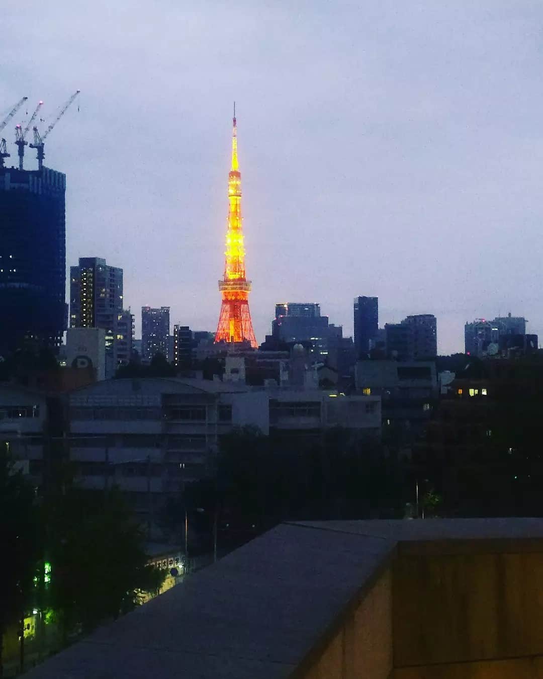 手島千尋のインスタグラム：「綺麗」