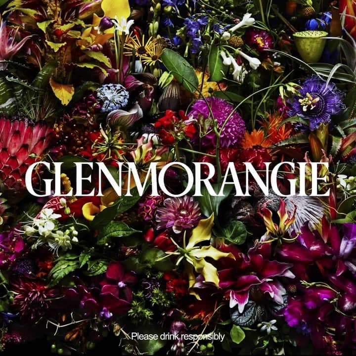 東信のインスタグラム：「A wondrous partnership with @Glenmorangie single malt whisky is ready to blossom. Check back to find out more.  #Glenmorangie #GlenmorangieInBloom #Whisky #SingleMalt #18yearsold #AzumaMakoto #LimitedEdition #DeliciousByDesign #DrinkResponsibly​ ​   Not intended to be seen by persons under the legal alcohol drinking age or in countries with restrictions on advertising on alcoholic beverages. Please drink responsibly.​」