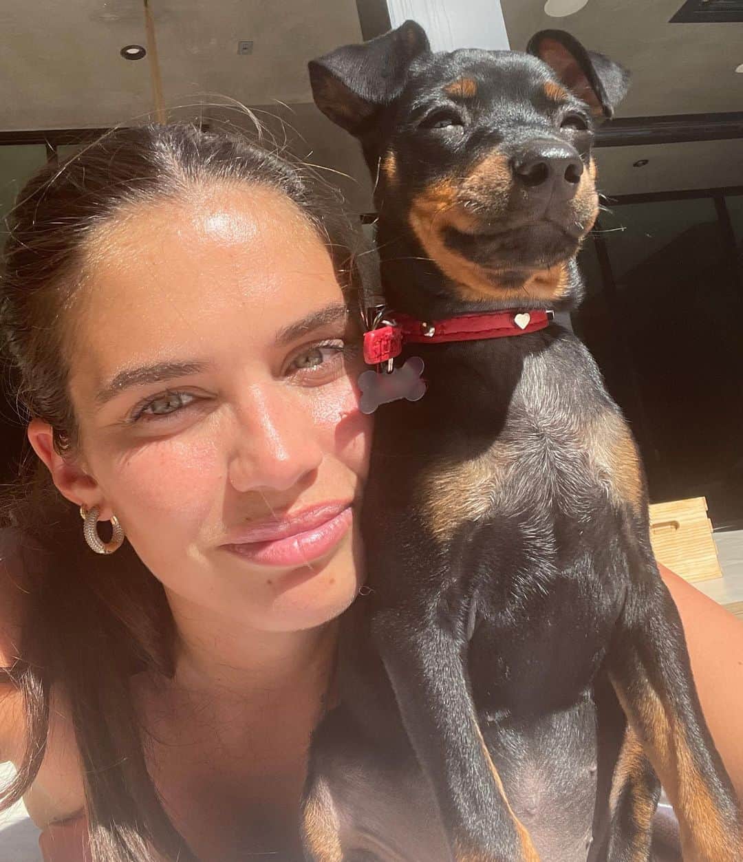 サラ・サンパイオのインスタグラム：「Look at this little face!!! Love my cute little dog-niece @emmalindsey」