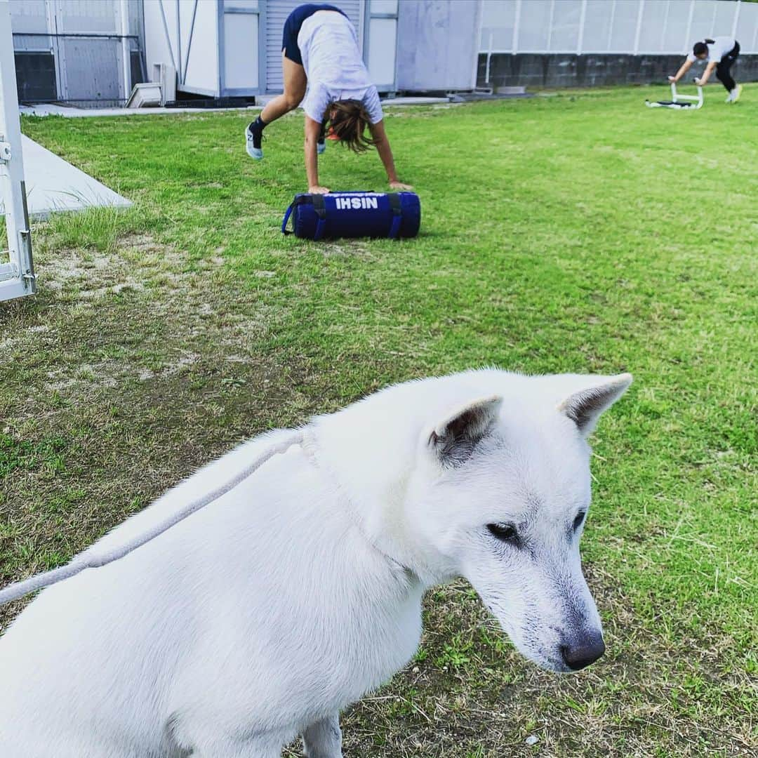 中村知春のインスタグラム