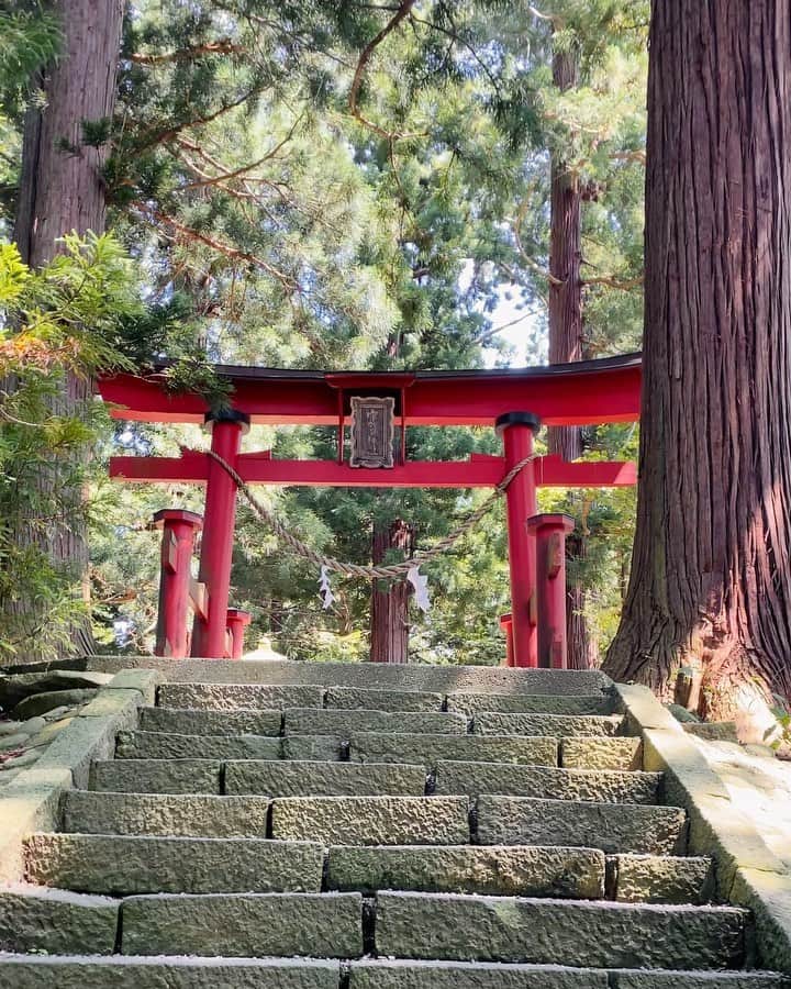 ToriChyanChannelのインスタグラム：「Храм, как из аниме студии Ghibli ⛩  Такие места японцы называют パワースポット «power spot» - место, где можно зарядиться положительной энергией. Это может быть отдалённый храм на вершине скалы, пещера в горах, огромное дерево, водопад… Любое место, которое захватывает дух и в тоже время вызывает ощущение умиротворения🌄  Когда японцы едут куда-то путешествовать - они обязательно посетят местный power spot! Я тоже люблю посещать такие места, после них действительно ощущаешь себя спокойнее😌  А есть ли что-то подобное в вашей стране? Посещали такие места?  #япония #нагано」