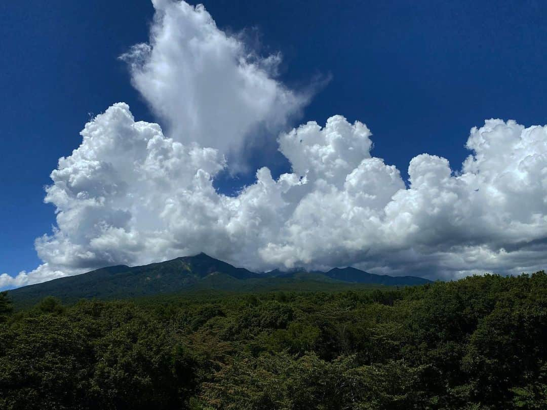 内山理名さんのインスタグラム写真 - (内山理名Instagram)「今日で8月最後かぁ🌵  夏ロケの思い出の一枚。 大好きな夏はあっという間。会った人たちに、焼けたね〜と今年も変わらず言われました。旅行へ行かなくても、こんがり小麦色になってしまう私の肌。実はちょっぴり好きなんです🤗」8月31日 11時54分 - rinauchiyama_official