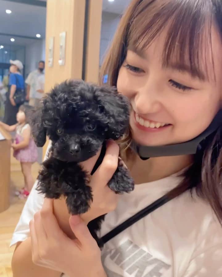 ガランダサーのインスタグラム：「⁡ おこげがかわいすぎてつらい。。🐶 （勝手に命名） ⁡ ペットショップ癒される。。 ⁡ おすすめの犬アカウント教えて下さい。。 ⁡ 私の推しイッヌ🐶 @i_am_shirasu」