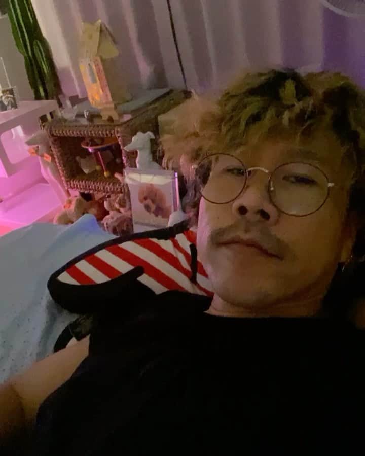 MIHIRO 〜マイロ〜のインスタグラム：「昨日はじゅーしーの月命日でした😌🤎✨  太陽の下が大好きだったじゅーしー。 でもこの季節は、玄関まで飛び出しても、 アスファルトが暑過ぎてその先には 行けなかった💦  もう体がないから暑さ対策完璧だなw 思う存分散歩しよーぜ✨  #次のステップ #形じゃなく #ハートで触れたい #キモいセリフ #禁止」