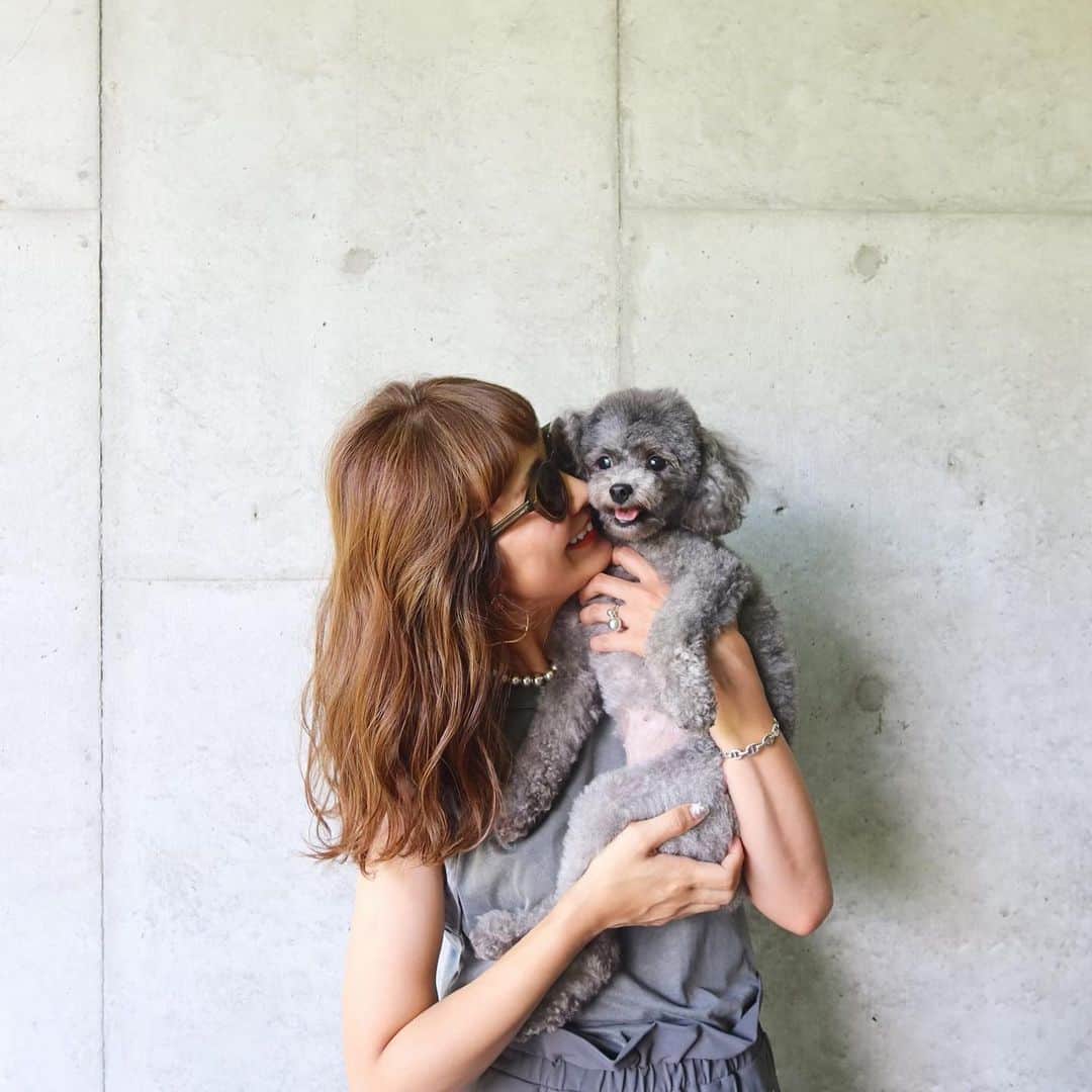 Mai Wakimizuのインスタグラム：「息子へのちょっかいが強めなカプリお姉ちゃん。ヨチヨチ歩いてたら後ろから飛びつくし、おもちゃで遊んでたら口に加えて持って行くし、寝てたら舐め回すし。笑 でも全ての行動がお姉ちゃんとして頑張ってるんだと思うと(勝手な解釈。笑)愛おしい♡笑  #愛犬カプリ#トイプードル」