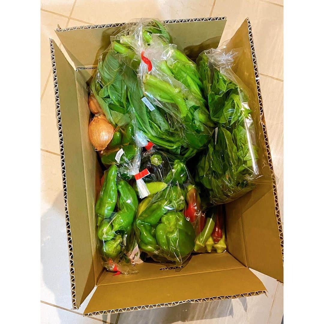 田中萌さんのインスタグラム写真 - (田中萌Instagram)「* 野菜の日🥬  毎月山形の農家さんから届くたくさんの野菜たち ちょうど今日届きました☺️✨  ここからは野菜の傷むスピードとの戦い……  #野菜の日#野菜#山形#おいしい山形#自炊#するしかない」8月31日 20時08分 - moetanaka_ex