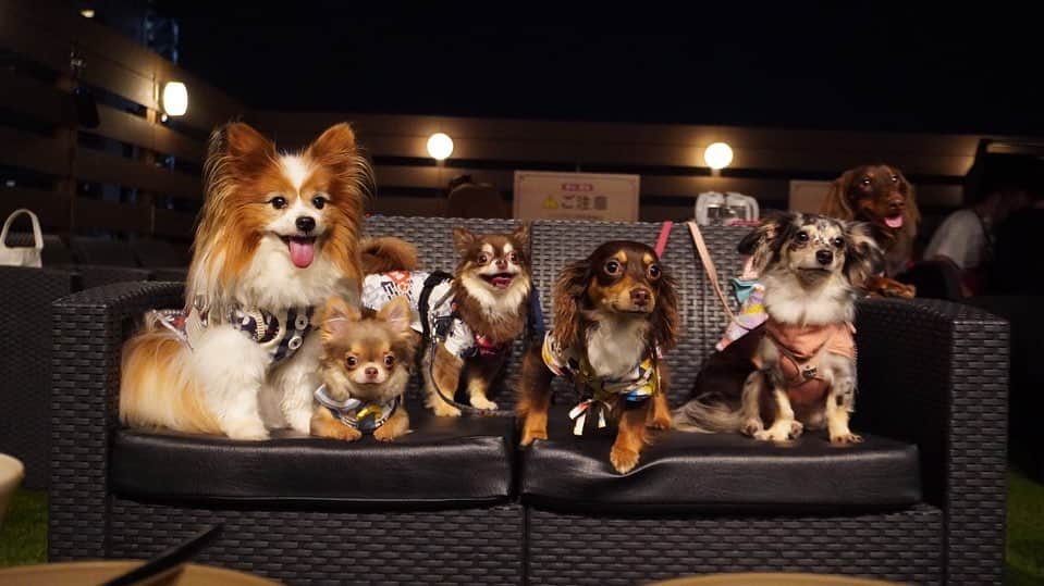 大島麻衣のグルメインスタ