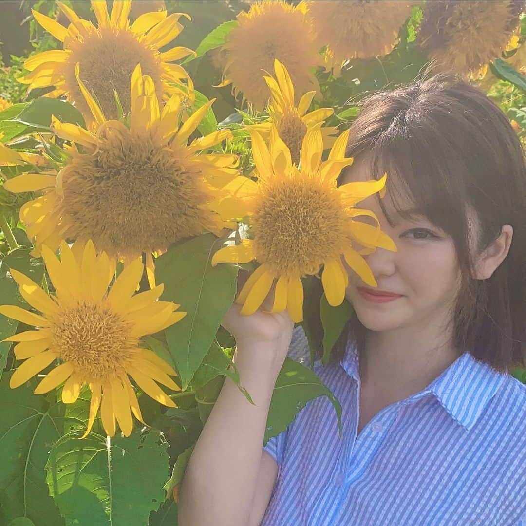 山岸楓さんのインスタグラム写真 - (山岸楓Instagram)「夏終わりかしら？🌻  今日チャリップ見てくれて コメントしてくれてありがとう🥲 コメントはチラチラ見ておりました（笑） 山岸楓 の 名前をひたすらコメントで 探しておりました🤣🤣 凄い先輩2人に囲まれて 緊張したので 人見知りなのかな？って思ってる人いると思うが ただの緊張です（笑） 緊張ってどうやって無くすんだろう🥲  【みんなの推し事予定】  ◆ 金のEX 掲載DVD付き！ 現在発売中！！ アンケートお願いします🥺  【9月予定】 ◆8日(水)キスカ 発売日 📕 アンケートお願いします🥺  ◆10日(金) チャリップ🚴‍♀️競輪予想 YouTube配信 20:20～23:30 コメントお待ちしております！みんなも予想しよ～  競輪以外にもガールズトークがきけます（笑）  ◆12日(日)  初福岡 smooth撮影会  個撮4枠 団体2枠 です！ 予約はまだできないみたい💦  ◆14日(火) チャリップ🚴‍♀️競輪予想 YouTube配信 20:20～23:30 コメントお待ちしております！みんなも予想しよ～  競輪以外にもガールズトークがきけます（笑）  ◆19日(日) はなまる撮影会 東京 個撮+団体  個撮満枠ありがとう💕 団体空きあります！  ◆23日(木祝日) リッププール撮影会 囲みです！  ◆24日(金)5th 『柔らかいんだよ？』発売日  ◆26日(日)新木場COASTでアイドルライブ×出張はなまる 囲みです！  【10月予定】 ◆1日(金) 写真集 電子書籍 発売日  ◆ 現在発売中 💿 1st DVD ミルキーグラマー🍼 2nd DVD maple smile🍁 3rd DVD 楓に恋して❤ 4th DVD Shaking OppaI 💃 Amazon、DMM 発売中 ソフマップでチェキ付き販売中！！ 東京Lilyでサイン入りのジャケット販売 5th DVD 柔らかいんだよ？ 9/24発売日  ◆VR ・はじめてのVR、はじめてのわたし。山岸楓 ・Stop! Look! Listen! Kaede Yamagishi  ◆写真集 『山岸さん、零れる。　』 山岸楓※直筆サインコメント付き 電子書籍 10/1発売日  #ひまわり畑」9月1日 1時23分 - 01nkae_____eden07