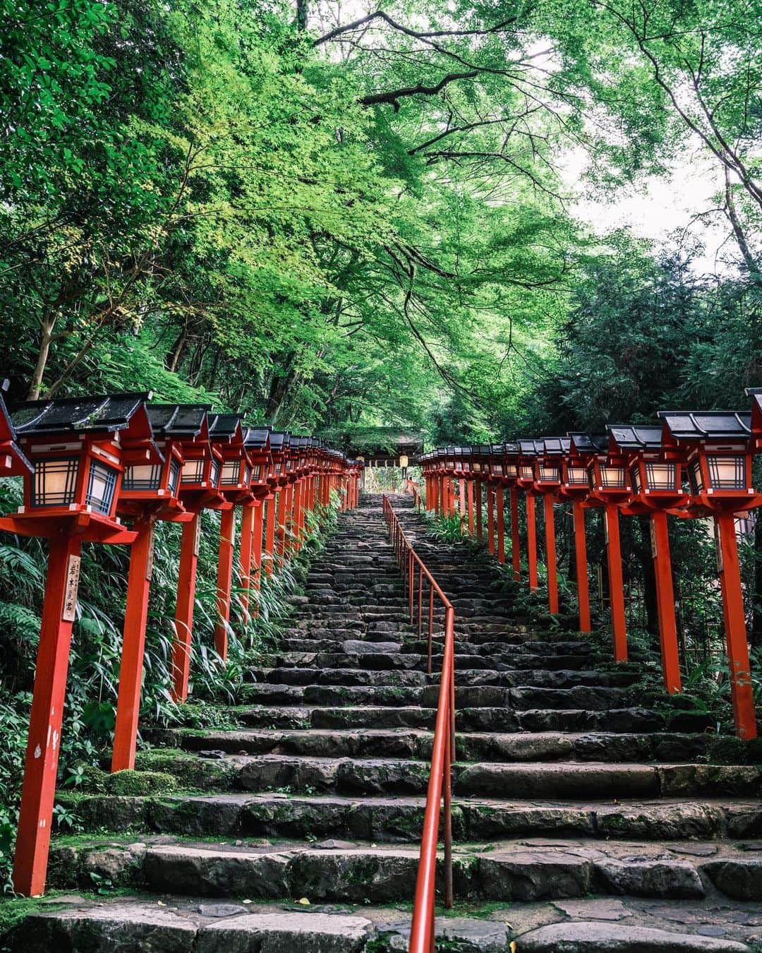 SHOCK EYEさんのインスタグラム写真 - (SHOCK EYEInstagram)「京都の奥の奥。  川のせせらぎ、マイナスイオンに包まれた森の中にある貴船神社は縁結びで人気の神社⛩  清涼な緑と、朱色の灯籠、鳥居のコントラストが本当に美しく、特に灯籠の続く階段は、写真スポットとしても有名だよね。  「きふね」は「気生根」とも書く。 気の生じる根、つまりエネルギーを生み出す場所。  まさにパワースポット。  龍穴があると言われる奥宮は特にパワーを感じたんだけど、 少し畏怖を感じる場所で、 その厳かな雰囲気に、自然と背筋が伸びたよ🙏  京都も少し足を伸ばすとこんな自然があるなんて、、京都の魅力を再発見した。  川床で、川の流れ、水音を楽しみながら、美味しい料理も頂けるようで、たくさんの料亭が並んでいて、雰囲気もバッチリ✨  いつかゆっくり訪れたいなあ。  #貴船神社 #京都 #kyoto #kifuneshrine #kifune #shrine #powerspot #パワースポット」9月1日 9時31分 - shockeye_official