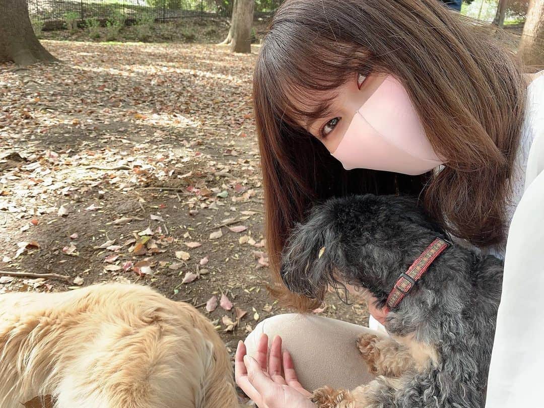 のインスタグラム：「全然こっちを向いてくれないわん🐶 ⁡ #かなえるPROJECT #わんちゃん」