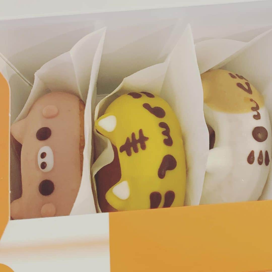 相川七瀬さんのインスタグラム写真 - (相川七瀬Instagram)「チャッピーみたいなドーナツ😊他のドーナツも、可愛くて食べれない。笑  #猫ドーナツ」9月1日 18時45分 - nanasecat