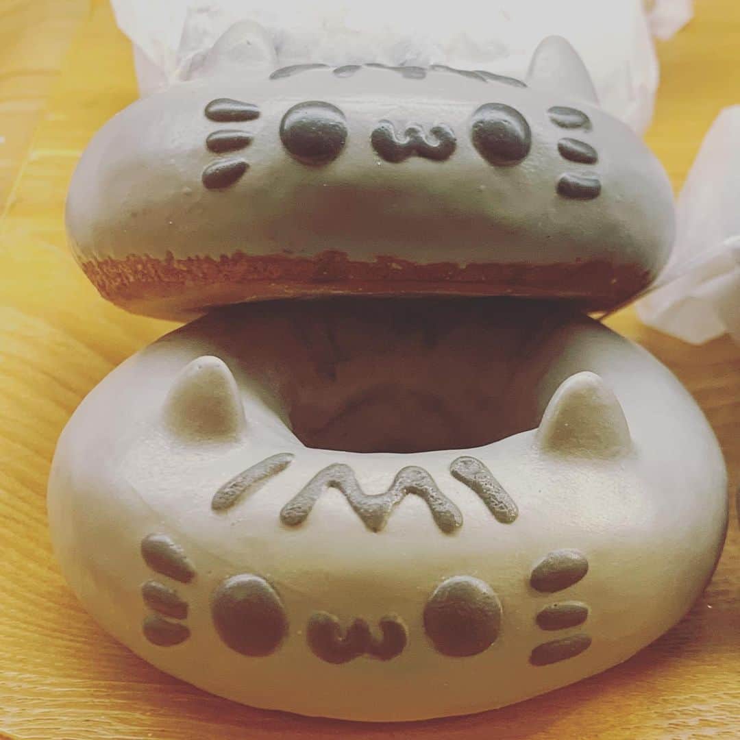 のインスタグラム：「チャッピーみたいなドーナツ😊他のドーナツも、可愛くて食べれない。笑  #猫ドーナツ」