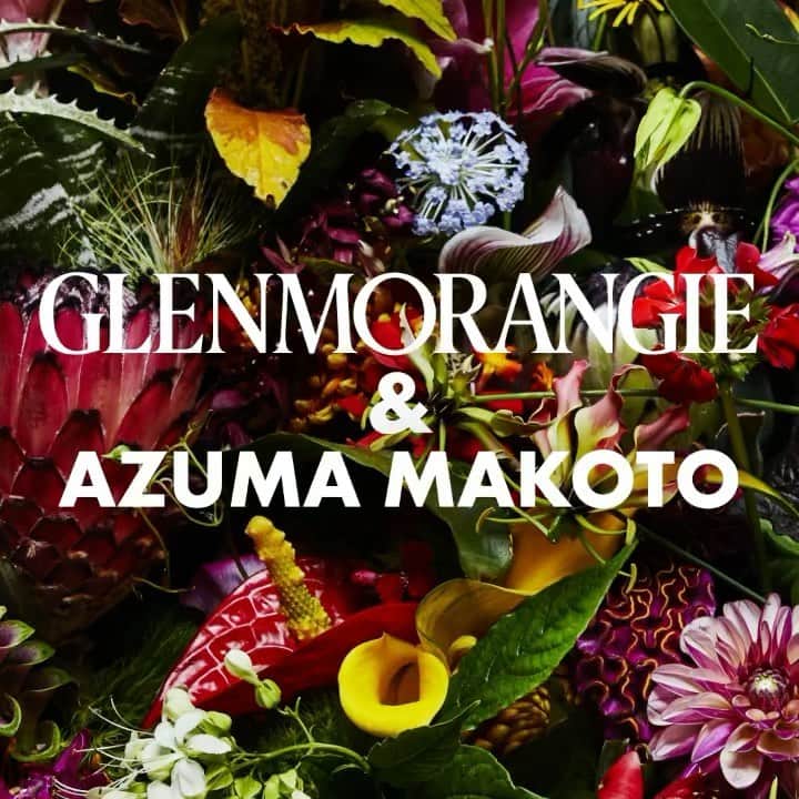 東信のインスタグラム：「Glenmorangie 18 Years Old is so lusciously sweet, its scents unfurl like a flower in bloom. In collaboration with @Glenmorangie I've reimagined the single malt whisky's aromas through flowers for a limited-edition design.  #Glenmorangie #GlenmorangieInBloom #Whisky #SingleMalt #18yearsold #AzumaMakoto #LimitedEdition #DeliciousByDesign #DrinkResponsibly​ ​ #Ad  Not intended to be seen by persons under the legal alcohol drinking age or in countries with restrictions on advertising on alcoholic beverages. Please drink responsibly.​」