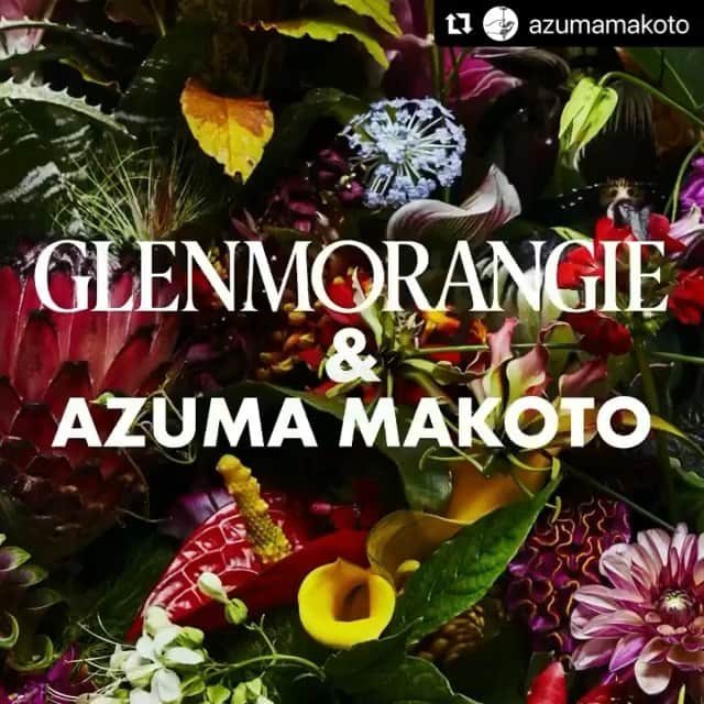 椎木俊介のインスタグラム：「#Repost @azumamakoto with @make_repost ・・・ Glenmorangie 18 Years Old is so lusciously sweet, its scents unfurl like a flower in bloom. In collaboration with @Glenmorangie I've reimagined the single malt whisky's aromas through flowers for a limited-edition design.  #Glenmorangie #GlenmorangieInBloom #Whisky #SingleMalt #18yearsold #AzumaMakoto #LimitedEdition #DeliciousByDesign #DrinkResponsibly​ ​ #Ad  Not intended to be seen by persons under the legal alcohol drinking age or in countries with restrictions on advertising on alcoholic beverages. Please drink responsibly.​」