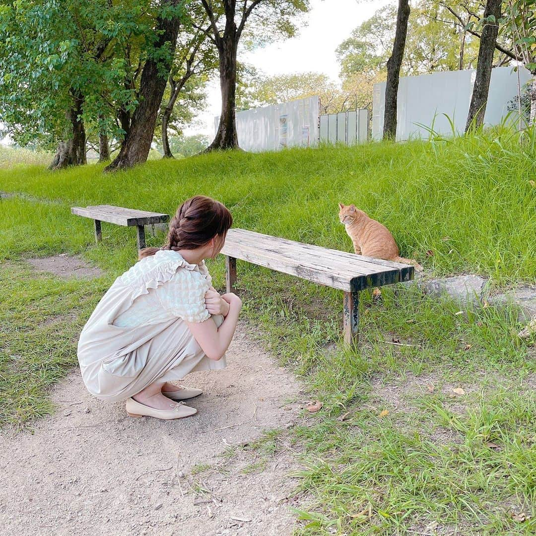 トリンドル玲奈さんのインスタグラム写真 - (トリンドル玲奈Instagram)「公園に猫が居たから近寄ってみたら、 向こうもにゃー🐈って言って 来てくれた🐈  ロケをしてる間ベンチに座っていたから、 待ってくれてるのかな？なんて 思っていたら、 そのあと来た女性の方にめちゃくちゃ懐いていた。  一瞬でフラれちゃった。」9月1日 20時07分 - toritori0123