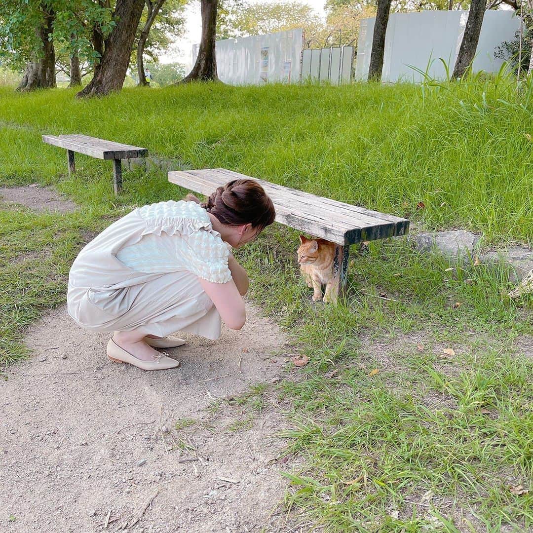 トリンドル玲奈さんのインスタグラム写真 - (トリンドル玲奈Instagram)「公園に猫が居たから近寄ってみたら、 向こうもにゃー🐈って言って 来てくれた🐈  ロケをしてる間ベンチに座っていたから、 待ってくれてるのかな？なんて 思っていたら、 そのあと来た女性の方にめちゃくちゃ懐いていた。  一瞬でフラれちゃった。」9月1日 20時07分 - toritori0123