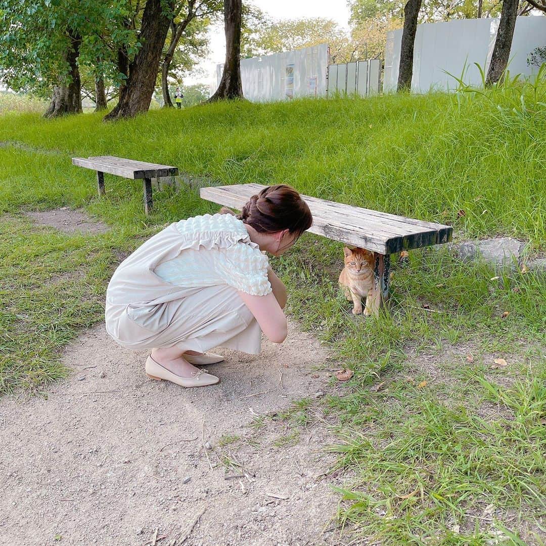 トリンドル玲奈さんのインスタグラム写真 - (トリンドル玲奈Instagram)「公園に猫が居たから近寄ってみたら、 向こうもにゃー🐈って言って 来てくれた🐈  ロケをしてる間ベンチに座っていたから、 待ってくれてるのかな？なんて 思っていたら、 そのあと来た女性の方にめちゃくちゃ懐いていた。  一瞬でフラれちゃった。」9月1日 20時07分 - toritori0123