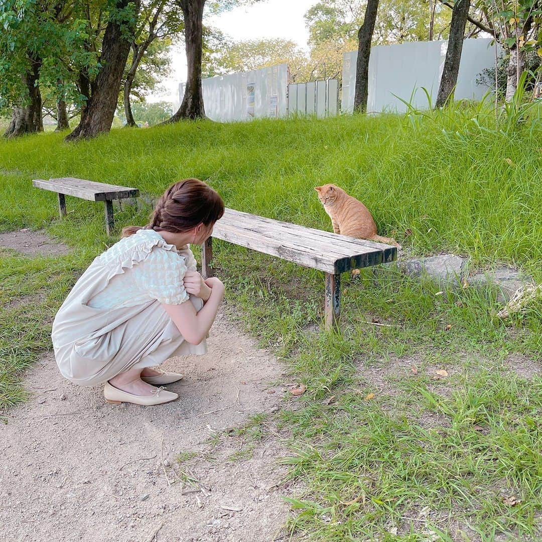 トリンドル玲奈さんのインスタグラム写真 - (トリンドル玲奈Instagram)「公園に猫が居たから近寄ってみたら、 向こうもにゃー🐈って言って 来てくれた🐈  ロケをしてる間ベンチに座っていたから、 待ってくれてるのかな？なんて 思っていたら、 そのあと来た女性の方にめちゃくちゃ懐いていた。  一瞬でフラれちゃった。」9月1日 20時07分 - toritori0123