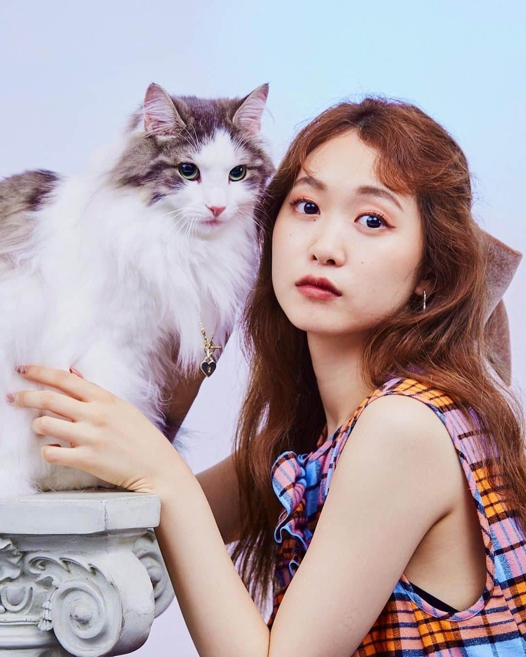 芹澤優さんのインスタグラム写真 - (芹澤優Instagram)「・  🐈💙💙💙  NYLONコラボグッズの受付が今日までです！  ファッション誌に呼んでいただいたのが嬉しくて、本当に記念すべき幸せなお仕事でした。  雑誌内でもお話したのですが、わたしのファンは男の子も女の子もいてくださるので、お洋服とかを作ってみたいなぁと密かに計画進行中です。。。  まだまだファッションは奥が深すぎるけど、着てる服で気分をあげたり、自信がついたり、楽しい事がたきたらなって思ってます🌼  待っててね！  #nylonjapan #cat #mylove #sekaiichi #kaotensai #seikakukitsui #demosuki」9月1日 20時17分 - seriko_is_no.1