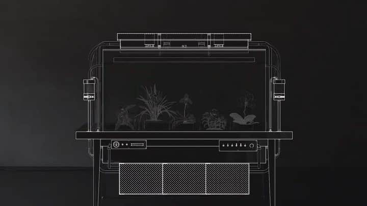 東信のインスタグラム：「Encapsulated environmental system: Paludarium MANABU  【密閉型環境実験システム・パルダリウム 学（まなぶ）】  Size : H1653 × W2000 × D630 (mm)  Paludarium, a small conservatory invented in England in the 19th century, is a plant protection machine that has been later exhibited at the Paris Expo and such. People placed a precious plant shipped from foreign lands inside of a glass-walled container, and appreciated watching its growing cycles at different lands and at their home far away from the plant’s own home. The series of “Paludarium” is a result of new interpretation of Paludarium, which is now equipped with various functions and transformed into a contemporary encapsulated environmental system. “Paludarium MANABU”is the 6th version of this series.  パルダリウムと呼ばれる小さな温室は19世紀のイギリスで発明され、その後パリ万博にも出展された植物保管機である。ガラス張りの容器の中に異国の地から運ばれてくる貴重な植物を入れ、人々はその生育のサイクルをまた別の土地で、遠く離れた自国で観賞するために使用した。このパルダリウムに新たな解釈を施し、さまざまな機能を装備することで密閉型環境システムとして現代に置き換えた作品がパルダリウムシリーズであり、【パルダリウム学】は本シリーズの第6弾となる。  #azumamakoto #makotoazuma #shiinokishunsuke #amkk #amkk_project #東信 #東信花樹研究所 #flowerart #paludarium #manabu #6号機」