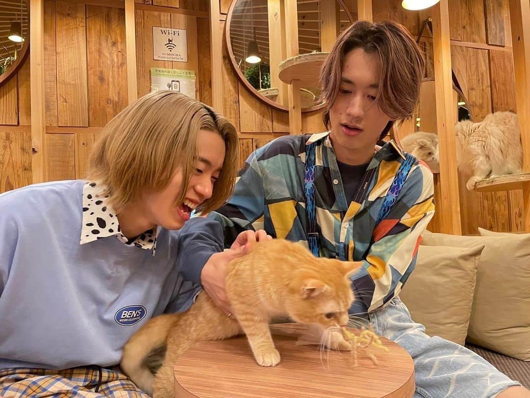 森愁斗さんのインスタグラム写真 - (森愁斗Instagram)「🌙よるのブランチ🌙 今回もパンサーのお二方と✌️ 猫カフェで癒されてきました😻 見てくださった方ありがとうございました！🙇‍♂️  #よるのブランチ  #もーりー兄弟 #森兄弟 #もーりー #しゅーと」9月2日 0時57分 - shoot_mori_official