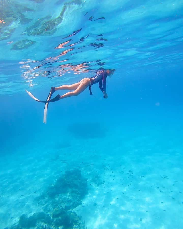 ToyoMaruのインスタグラム：「2021.9.1〜okinawa🏖✨🧜‍♀️🐠🌞  彩度を少し調整しただけの、 ほぼ撮りっぱなし動画です🧜‍♀️  水中世界は無音のようで無音じゃない。  耳をすませば、海の音が聴こえてきます☺️  って思うのは僕だけ？！笑🤣  共感してくれる人、 ポチッといいねお願いしますww🙏  #アナタニミセタイケシキ  #とよまるツアー  #toyomaru号   「控えめに言って、最高💙」  みんなで海遊び楽しみましょぉおお🏖 #okinawajapan   最高にhappyパワースポット🌈  秘密のインスタ映え🏖 無人島ツアー開催中🚤  沖縄本島から船で約40分の無人島へ🏝  海況が許す限り、毎日開催しております✨  綺麗な空気と、綺麗な空🌞  ちょっと足を伸ばして、 綺麗な海で遊びませんか❓🐠  ご予約&お問い合わせお待ちしてます🧜‍♀️🧜‍♂️  #沖縄 #沖縄旅行 #okinawa  #スキンダイビング #skindiving  #無人島 #水着 #ビキニ  #慶良間諸島 #ドローン #dji  #インスタ映え #ジェットスキー  #海 #travel #japan #sea  #網美景點 #沖繩 #沖繩旅遊 #慶良間諸島 #潛水 #自由潛水 #浮潛  #leaderfins #タビジョ」