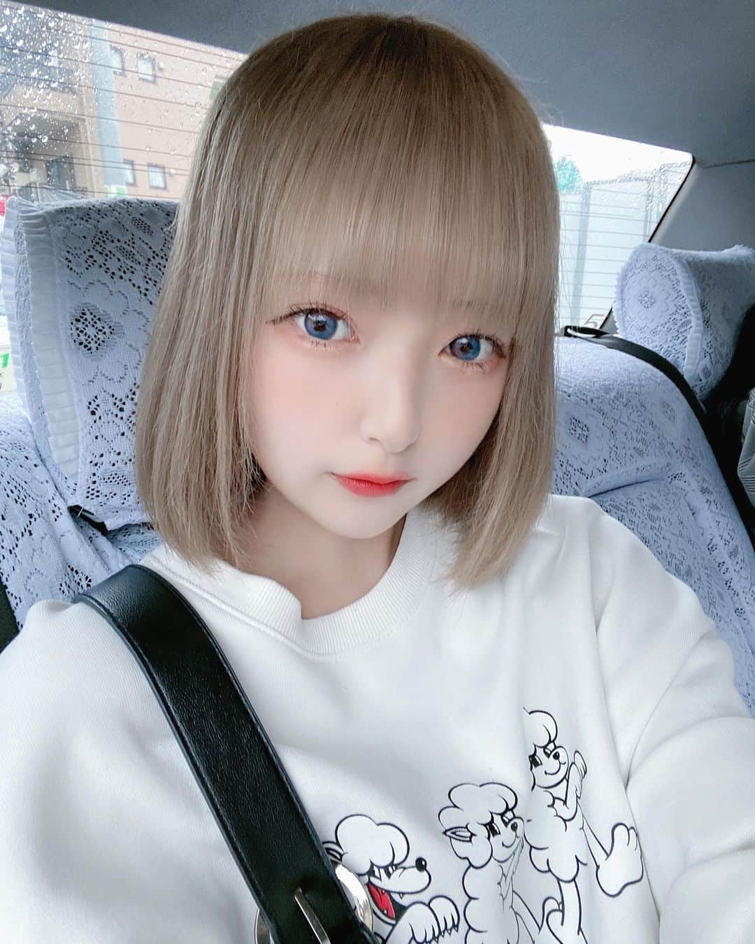 ねこあれのインスタグラム：「貰った愛で飛ぼうと思うよ天使だから໒꒱·  ･   #ヘアアレンジ  #カラコン  #インナーカラー  #派手髪女子  #量産型コーデ  #地雷女  #アーマーリング  #ピアス女子  #ゲーム女子  #派手髪  #派手髪女子  #ショートヘア  #地雷女  #アイドル  #メンヘラ  #地下アイドル  #ボブ  #ハイトーンボブ  #量産型ヲタク  #量産型  #自撮り女子 #ハイトーンカラー #金髪ショート #ボブ  #白髪」