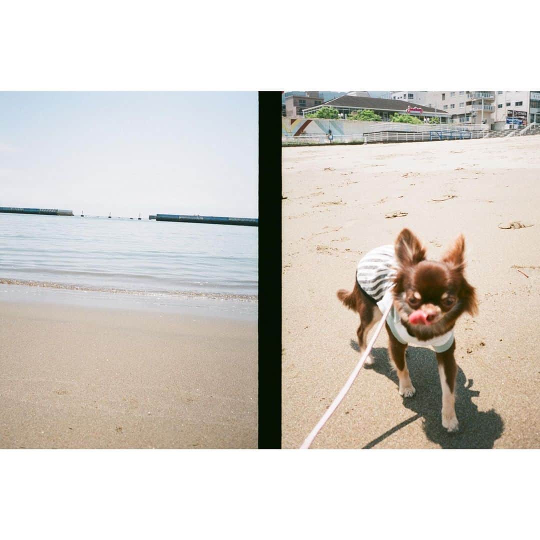 奈緒さんのインスタグラム写真 - (奈緒Instagram)「. 🐟はじめての海 #sunaocamera  #いつかの海」9月2日 18時24分 - sunaosquare
