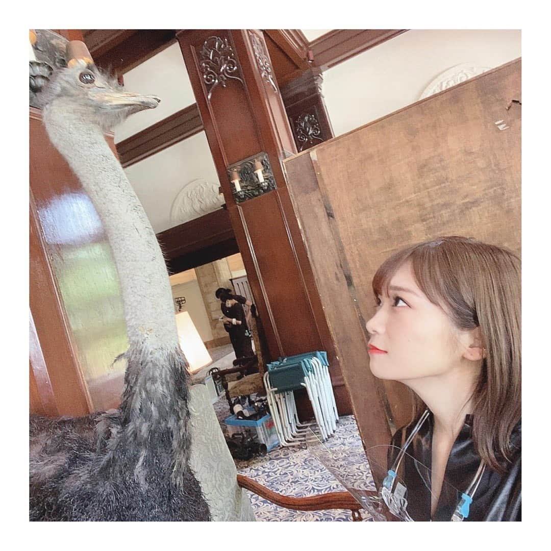 秋元真夏さんのインスタグラム写真 - (秋元真夏Instagram)「.  見つめ合い🕊 MV解禁になりました🎥 すごく好きなMVでした♥️  #君に叱られた」9月2日 22時24分 - manatsu.akimoto_official