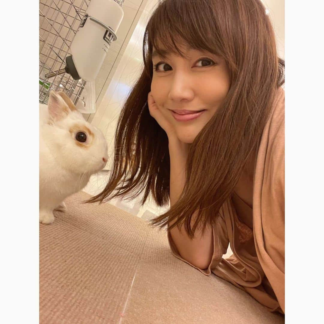 安めぐみさんのインスタグラム写真 - (安めぐみInstagram)「今日のしろくん。 ケージを覗いたら、出てきてくれました😊  急に涼しくなったので、 皆さんあたたかくしておやすみ下さいね☺️  #もふもふ #🐇 #9月 #今日もお疲れ様でした✨  #おやすみなさい」9月2日 23時12分 - yasu_megumi_official