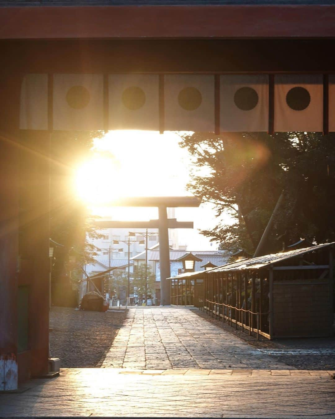 SHOCK EYEさんのインスタグラム写真 - (SHOCK EYEInstagram)「武神、勝運の神様が祀られる鹿島神宮の夕陽。  運が良ければ、参道に真っ直ぐ、鳥居と楼門の間を抜けるように夕陽が差し込む。  おー！ 凄すぎる🙏✨  タイミングよく出会えたオレンジ色の夕陽に手を合わせ、感謝。  この時、 凄い綺麗な神秘的な写真が撮れたからシェアするね。  #鹿島神宮 #神社 #kashimashrine #shrine」9月3日 11時33分 - shockeye_official