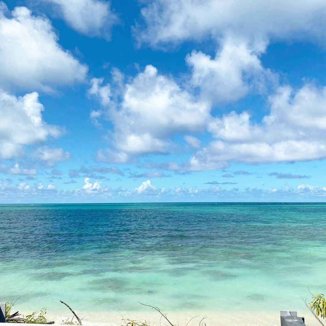 マキ・コニクソンさんのインスタグラム写真 - (マキ・コニクソンInstagram)「Good morning from Paradise!! 🌺🌺  今朝はワイマナロビーチを通ってカイルア タウンでお散歩！🐾🐾ワイマナロビーチの海の色って本当に綺麗なんだよね！ 安定のターコイズペパーミントグリーン！ このグラデーションがたまらなく 好きなのです！❤️  今朝は雲がちょい多めだけどまさに 快適温度です！💯💯💯 徐々に青空が広がって午後には ピーカンってパターンだね！☀️😎  昨日パラリンピックをずっとLiveで観てて めちゃくちゃ感動しました。🥺 選手たちがカッコ良くて自信に満ちていて 何て言ったら良いか誇らしくて本当に素晴らしい！たぁくさん勇気を頂きました！🙏🏻  よぉし！ってヤル気も出ました！💪🏼 自分ってちっぽけって思っちゃった。😭 スポーツっていいね！国関係なく参加選手 を応援📣してたら応援し過ぎて 朝起きたら声が枯れてた。😖  人は人からたくさん学びますね。 いや動物からも生物からも学びます。 毎日が学びです。日々多方面から気付きがあって一生学び続けるんだろうな、私。 だから人生は楽しいね。 エンジョイ ライフ！🤗 ハッピーライフになるのも ならないのも全て自分次第！☝🏼 みんなでハッピーの連鎖をして 一緒に成長していきましょう！💕💕  今日もパラリンピック応援 しまぁす！📣📣  Have a Wonderful Day!!😊 お互いハッピーな一日を過ごそうね！ 笑顔で行ってらっしゃ〜い！👋🏼  #エアハワイ🌺  #ハワイのおすそ分け🤙🏼  #気持ちだけでもハワイ😊  #東京2020パラリンピック  #tokyo2020paralympics  #勇気と感動を有難う！」9月3日 4時44分 - makikonikson