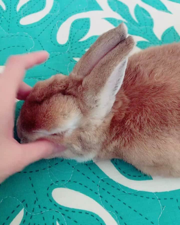 吉山りさのインスタグラム