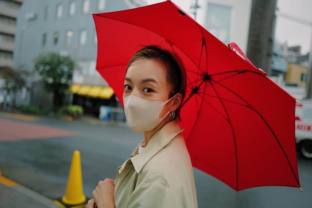 高山都さんのインスタグラム写真 - (高山都Instagram)「しましまと赤い傘。 フレンチな雨の日でした。」9月3日 8時21分 - miyare38