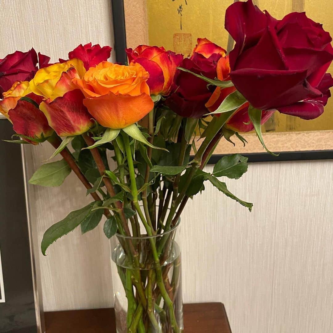 石倉洋子さんのインスタグラム写真 - (石倉洋子Instagram)「Received beautiful Africa rose. For my dad & his loved one , remembering the day he left me a year ago.」9月3日 9時08分 - yoko.ishikura