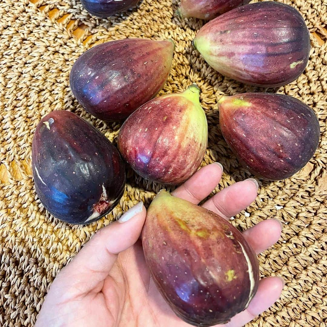 田中律子さんのインスタグラム写真 - (田中律子Instagram)「マンゴー🥭の季節が終わると、ぶどう🍇とナシ🍐秋のフルーツの出番🙌  マンゴーが1番好きだけど、ぶどう、梨、イチジク、秋のフルーツも大好き❤️  毎年ブロッコリー🥦や、イチジクを送ってくれる熱田農園の熱田さん @satosiatuta が作るイチジクの美味なこと❗️私はマンゴーを送り、熱田さんからは野菜が届く☺️物々交換をしてます❤️  早速届いたイチジクを、まずはそのままパクリ🤤うんまー🥰 そして、手で割いて、モッツァレラチーズと生ハムとオリーブオイルたっぷりかけていただきます🤤これまたうんまーーー💛はぁー、幸せ💛食欲の秋です☺️  #秋のフルーツ  #シャインマスカット  #熱田農園  #surfandfarm  #イチジク  #物々交換」9月3日 13時21分 - ri2kotanaka