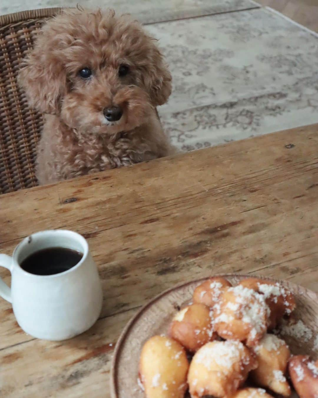 masakiさんのインスタグラム写真 - (masakiInstagram)「デザインチーム今日のおやつ🍩 糖分が必要な時間になりましたが、 よく考えたらこの一週間スーパーに行ってない！何もない！ ここのところ、いただきもので満たされた一週間。 普段毎日のように仕事帰りにスーパーに寄り道するマサコ。 もはや趣味w ついに限界がやってまいりました。 甘いもの食べたくて、何にもなくて、 ホットケーキミックスでドーナツ揚げてみましたよ。 コーヒーと見た目揚げ芋ドーナツ。 きび糖じゃりじゃり、おいひいですー♡」9月3日 18時25分 - mogurapicassowols