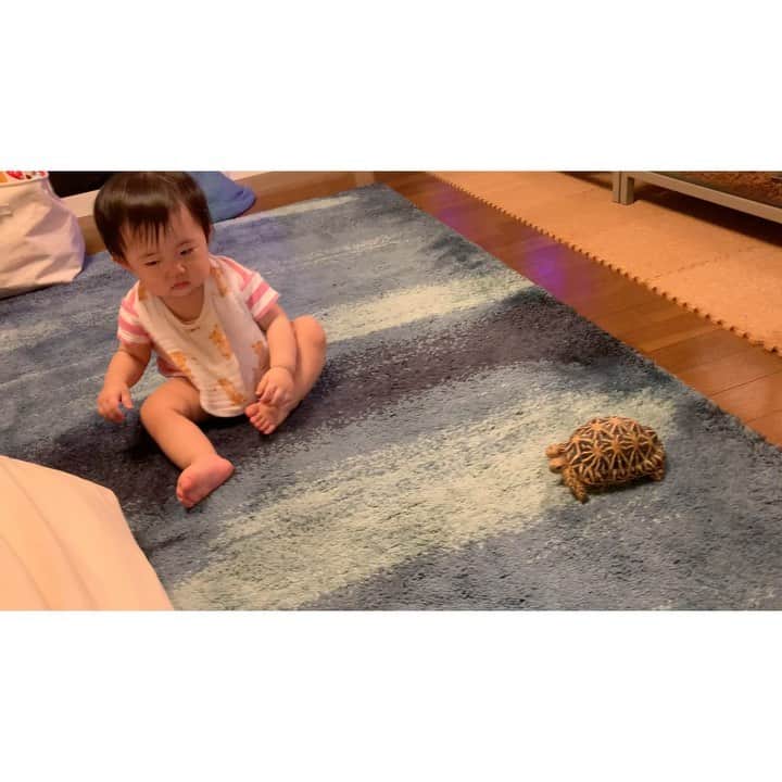 高松雪乃のインスタグラム