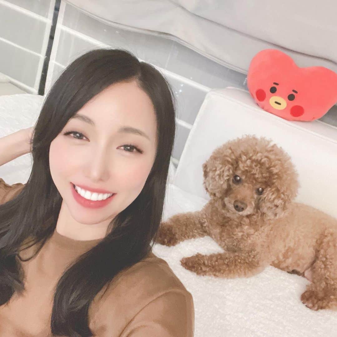 美雪ありすのインスタグラム：「ぱんちゃんがずっとカメラ目線で面白くて笑ってしまいました🤣　  後ろのぬいぐるみが何か分かる人いるかな😚💜　  #カメラ目線犬  #いぬすたぐらむ  #おうち時間」