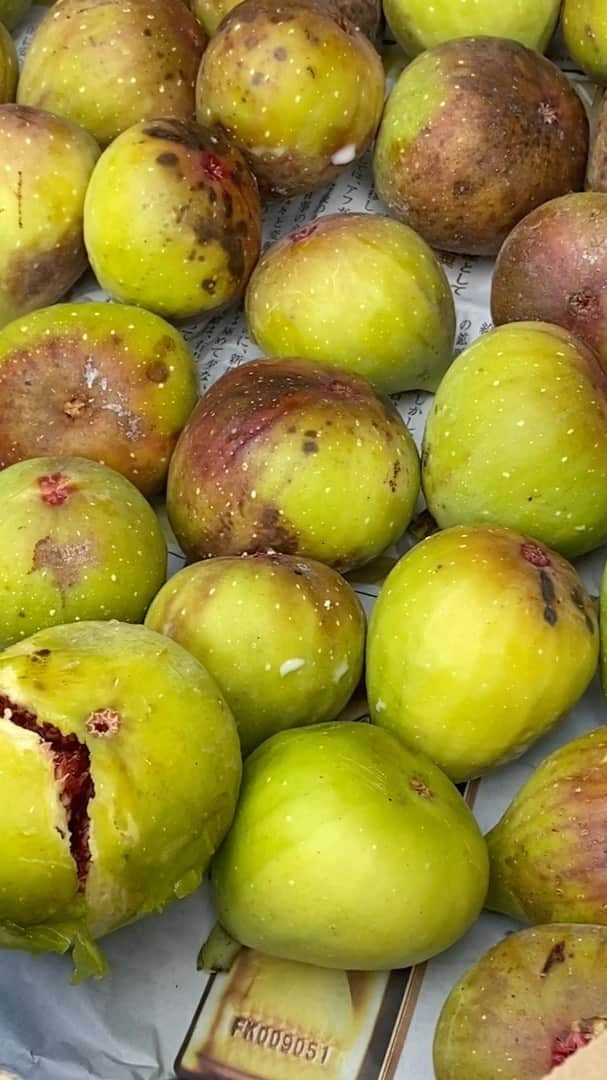 のインスタグラム：「この星の片隅で巡り会えた奇跡」
