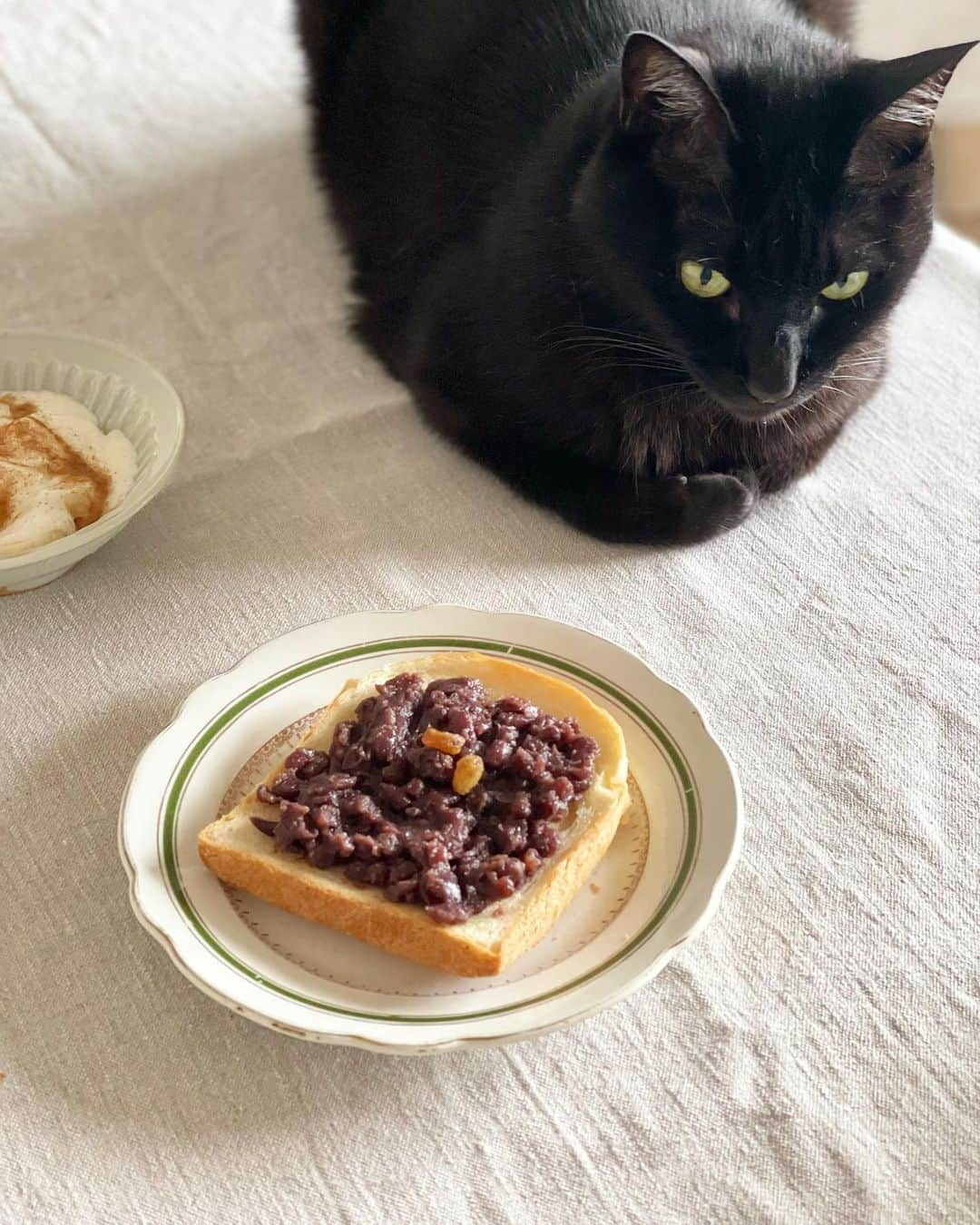 猫沢エミさんのインスタグラム写真 - (猫沢エミInstagram)「美濃屋さんの、塩あん（とはいえ、しょっぱいわけではなく、ほんのり甘くてお塩のミネラル感がある）を、うすーく発酵バターを塗り伸ばしたトーストの上にのっけた森下塩あんバタートーストの朝ごはん。  なんだか急に、あったかいミルクティーが美味しい季節になっちゃいましたね。  真っ白に雨煙る東京。  真っ黒の猫座る食卓。  #猫沢飯　#ねこしき　#猫沢銘品　#またひとつ絶品あんこ見つけた(*✧×✧*)」9月4日 10時31分 - necozawaemi