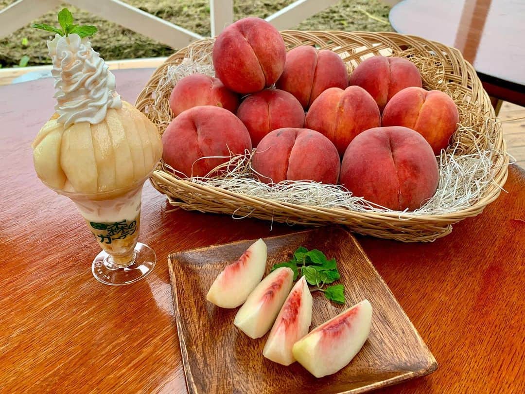 山崎聡子さんのインスタグラム写真 - (山崎聡子Instagram)「#朝だ生です旅サラダ  福島市飯坂町の「まるせい果樹園」から、 桃の魅力をお伝えしました☺️🍑🍑  実は、まるせい果樹園は、桃の季節になるたびにお邪魔している果樹園。(もう5年程通ってます🚗) どの果物もおいしいのはもちろん、中継にご出演頂いた佐藤さんの大ファンなんです・・！ いつも元気が貰えるパワースポットのようなかんじ🙏🏻  福島の美味しい桃の魅力が全国の方に伝わっていたら嬉しいなぁ…😆 ご覧くださった方、ありがとうございました🥗  #斉藤シェフの桃料理が美しすぎた #まるせい果樹園の桃は全国発送してます🍑  #福島市 #福島 #桃 #幸茜 #ゆうぞら #黄金桃 #黄貴妃 #桃パフェ #まるせい果樹園 #サイトウ洋食店」9月4日 12時25分 - 310puu