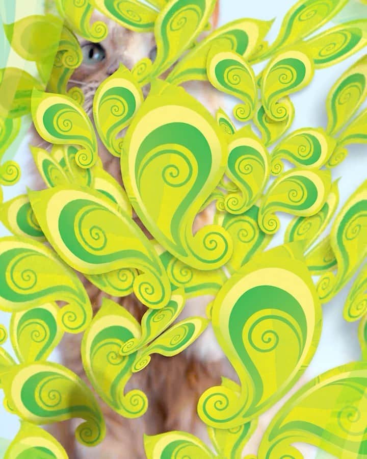 Fresh Stepのインスタグラム：「Ready for a scent transformation? Check out our Fresh Step® with Febreze Freshness and Gain Scent litter. Butterflies not included 🦋😺」