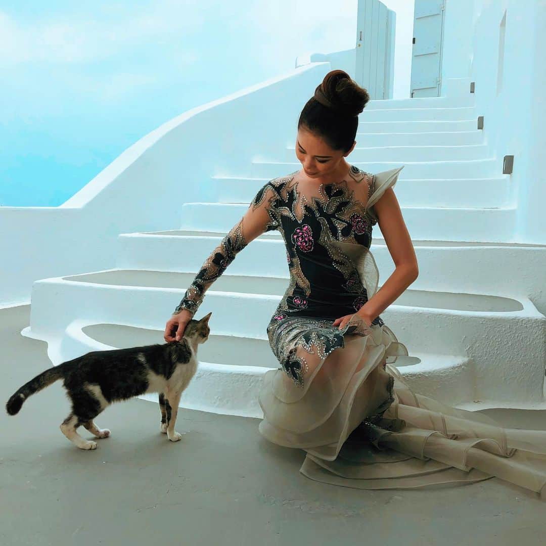 のインスタグラム：「BTS- a little furry visitor caught crashing the photo shoot set   Any cat lovers?! 🐱  #photoshootday #btsphotoshoot #missuniverse #californiamodel #santorinigreece」